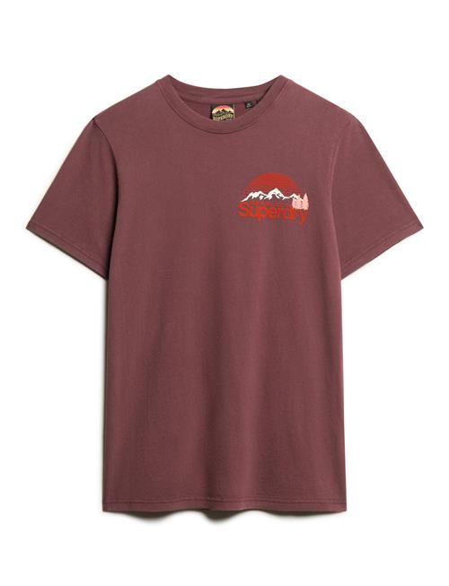 Superdry Great Outdoor Chest Graphc Tee Superdry Brown