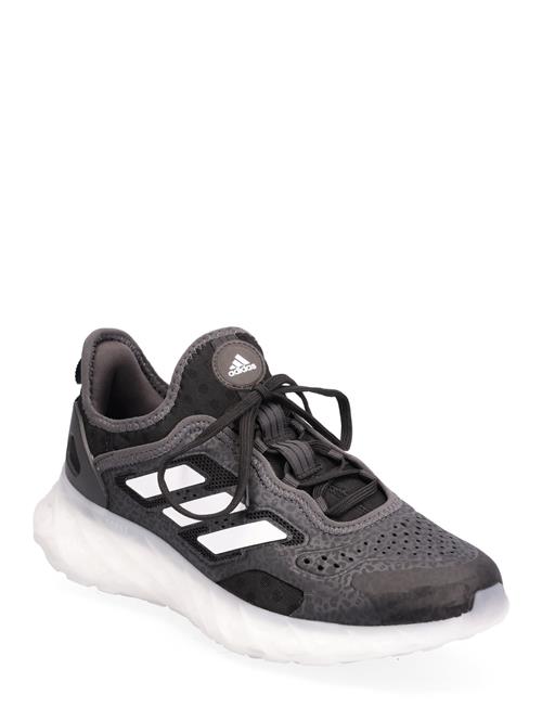 Se adidas Sportswear Web Boost W Adidas Sportswear Black ved Booztlet