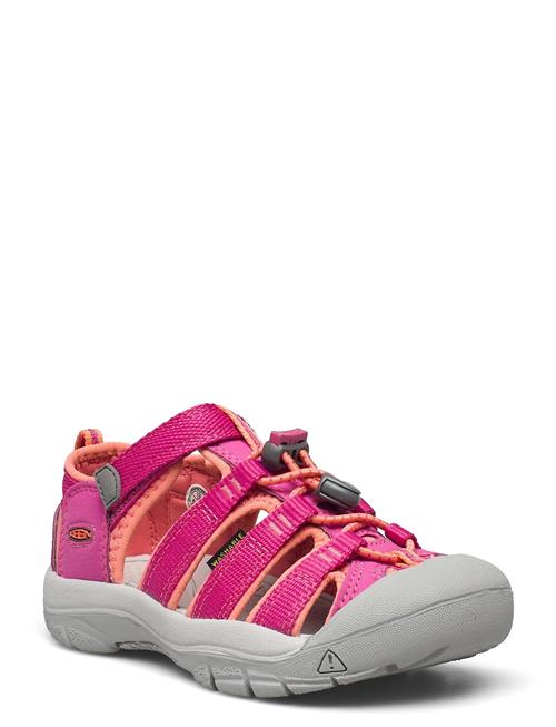 KEEN Ke Newport H2 C Berry-Fusion Coral KEEN Pink