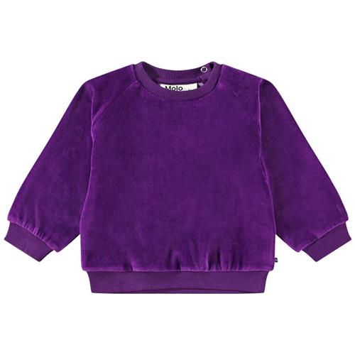 Se Molo Disc Sweatshirt Lilla | Lilla | 98 cm ved Babyshop