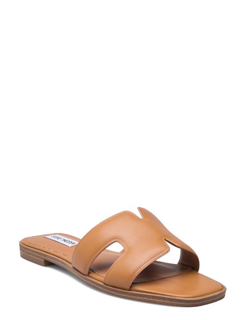 Steve Madden Heist Sandal Steve Madden Brown