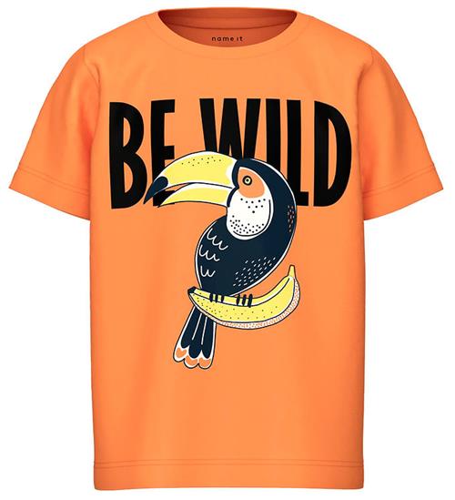 Se Name It Name It T-shirt - NmmDavi - Bird Of Paradise ved KidsWorld