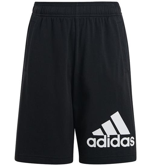 adidas Performance adidas Performance Shorts - U BL - Sort