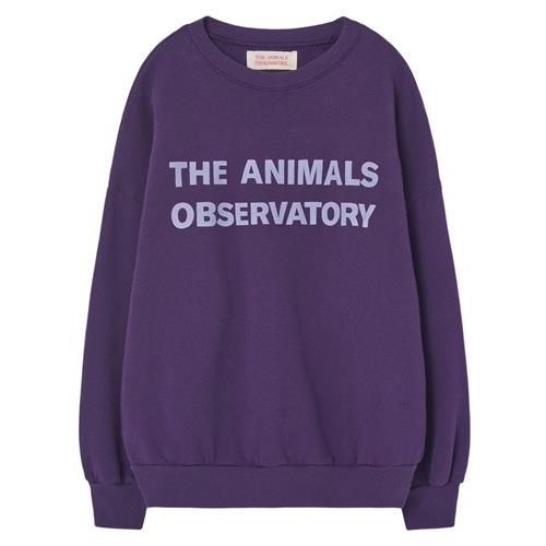 Se The Animals Observatory Leo Sweatshirt Violet | Lilla | 3 years ved Babyshop