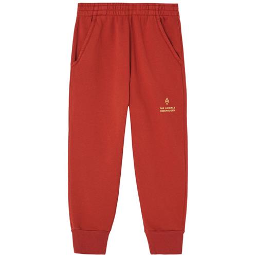 Se The Animals Observatory Draco Joggingbukser Maroon | Brun | 10 years ved Babyshop