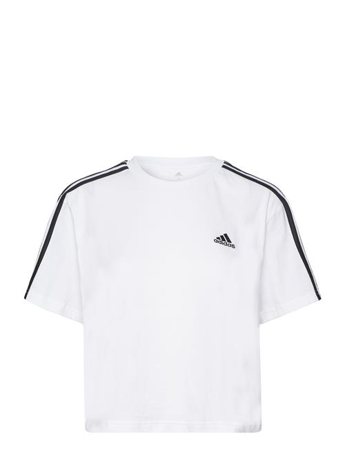 Se adidas Sportswear Essentials 3-Stripes Single Jersey Crop Top Adidas Sportswear White ved Booztlet