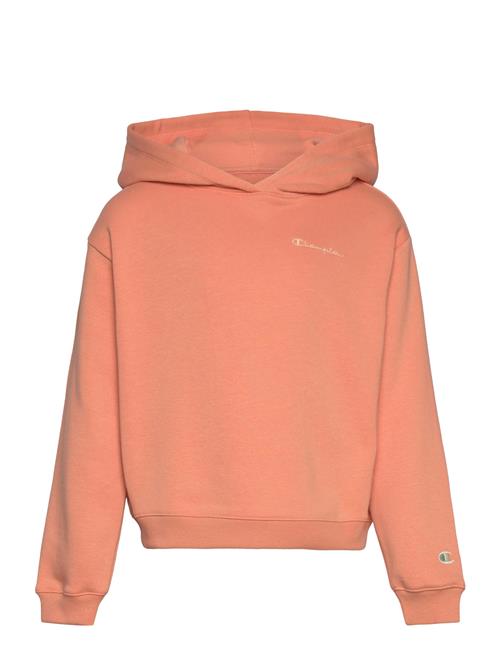 Champion Rochester Hooded Sweatshirt Champion Rochester Orange