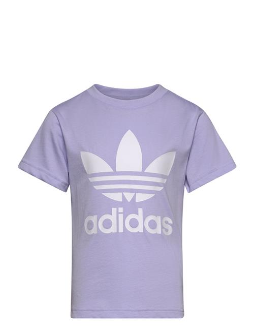 adidas Originals Trefoil Tee Adidas Originals Purple