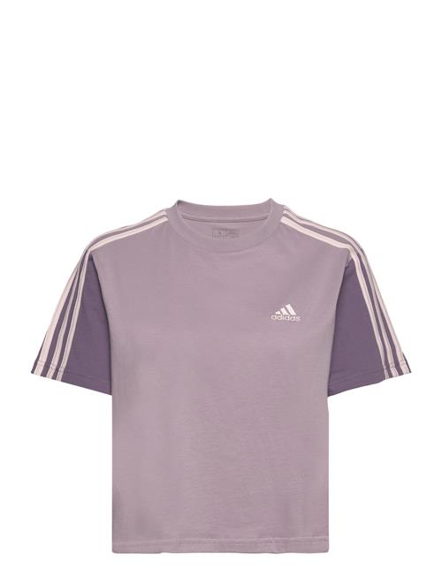 adidas Sportswear W 3S Cr Top Adidas Sportswear Purple