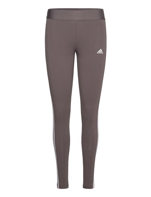 adidas Sportswear W 3S Leg Adidas Sportswear Brown