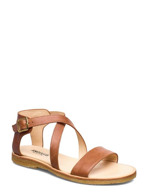 ANGULUS Sandals - Flat - Open Toe - Op ANGULUS Brown