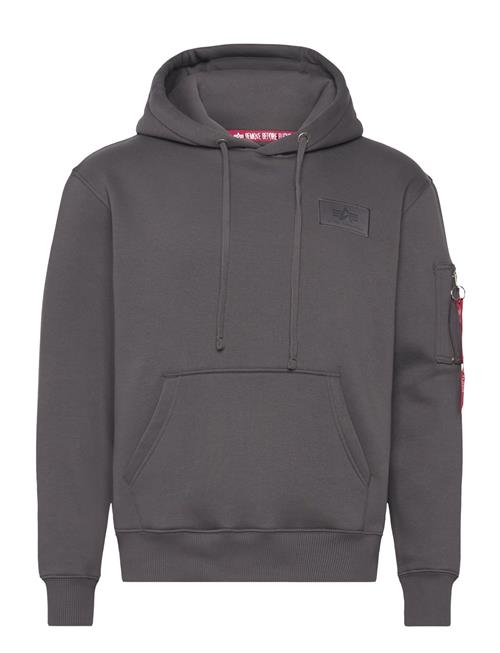 Se Alpha Industries Back Print Hoody Alpha Industries Grey ved Booztlet