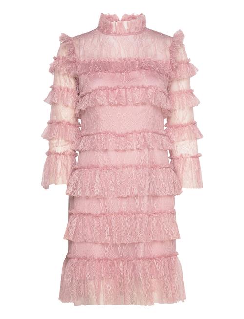 Carmine Frill Lace Mini Dress Malina Pink