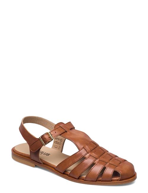 ANGULUS Sandals - Flat - Closed Toe - Op ANGULUS Brown