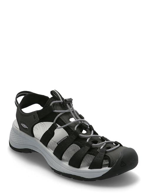 Se KEEN Ke Astoria West Sandal W KEEN Black ved Booztlet