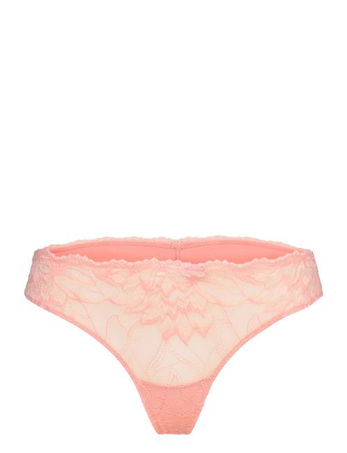 Se Calvin Klein Thong Calvin Klein Coral ved Booztlet