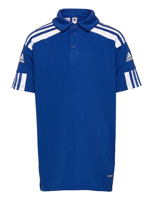 Se adidas Performance Squadra21 Polo Youth Adidas Performance Blue ved Booztlet