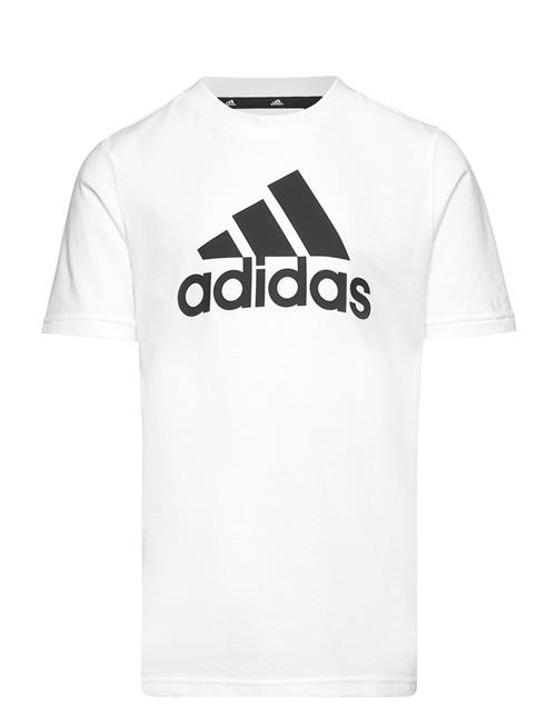 Se adidas Sportswear Lk Bl Co Tee Adidas Sportswear White ved Booztlet