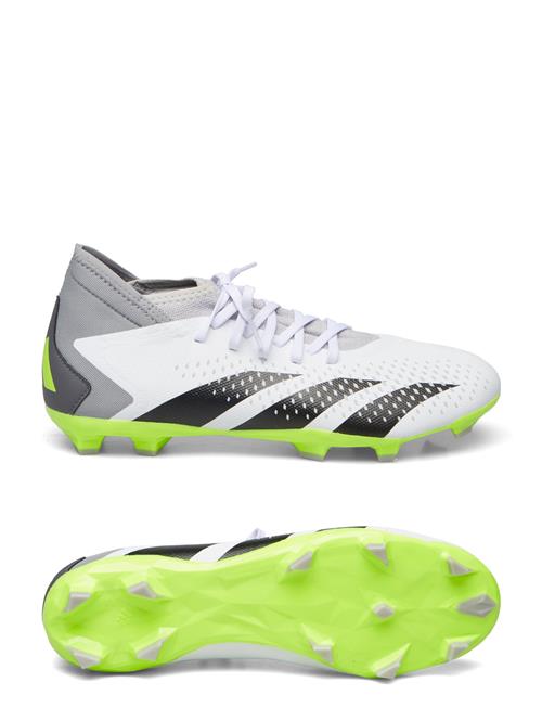 Se adidas Performance Predator Accuracy.3 Fg Adidas Performance White ved Booztlet