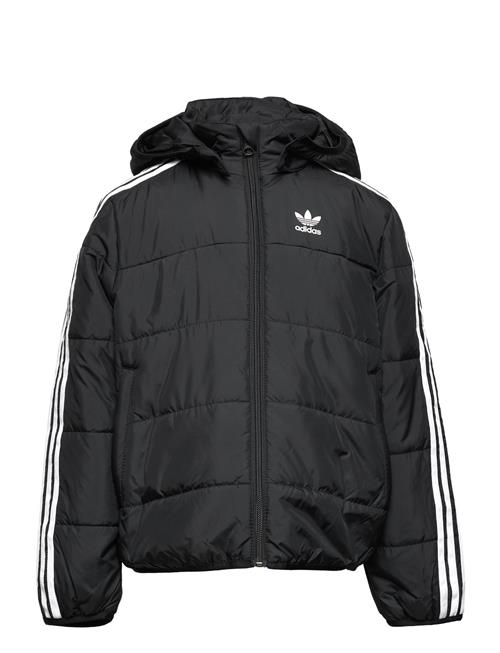 Padded Jacket Adidas Originals Black