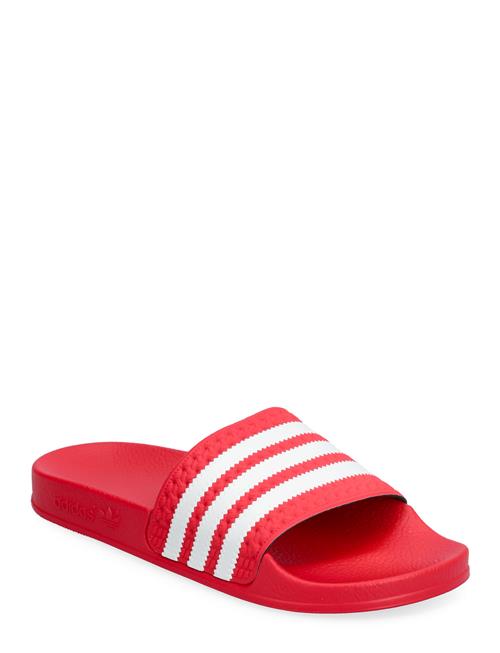 Adilette W Adidas Originals Red