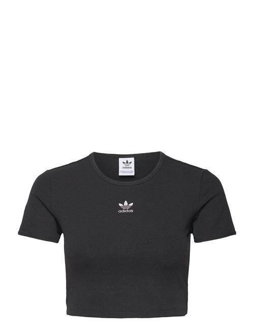 Rib Tee Adidas Originals Black