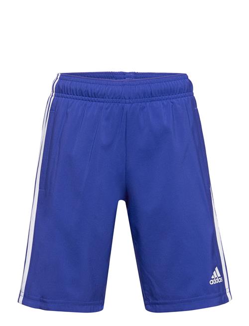 adidas Sportswear U 3S Wn Short Adidas Sportswear Blue