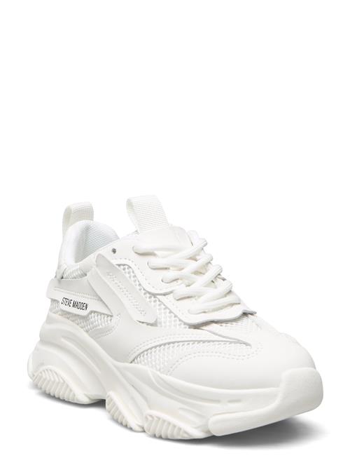 Se Steve Madden Jpossession Sneaker Steve Madden White ved Booztlet