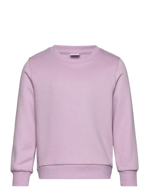 Lindex Sweatshirt Basic Lindex Purple