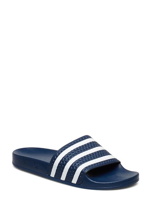 adidas Originals Adilette Adidas Originals Blue