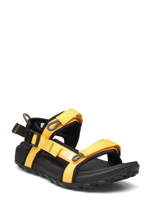 Se The North Face M Explore Camp Sandal The North Face Gold ved Booztlet