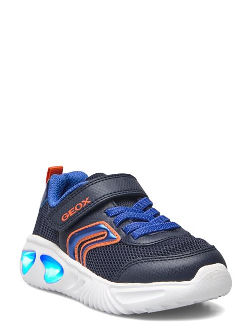 GEOX J Assister Boy C GEOX Blue