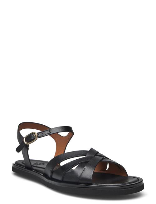 Billi Bi Sandals Billi Bi Black