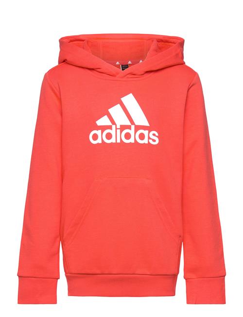 Se adidas Sportswear U Bl Hoodie Adidas Sportswear Red ved Booztlet