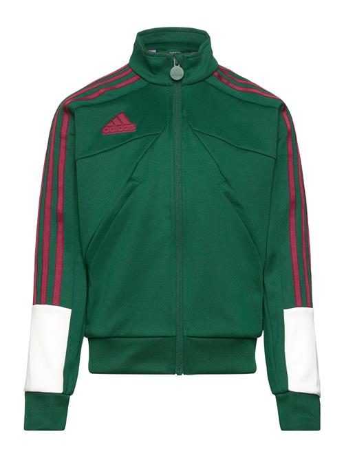 Se adidas Sportswear J Np Ttop Adidas Sportswear Green ved Booztlet