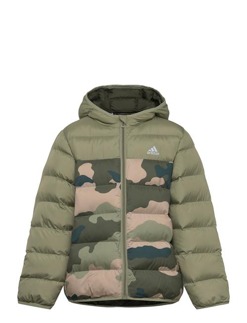 adidas Sportswear J Sd Aop Jkt Adidas Sportswear Khaki