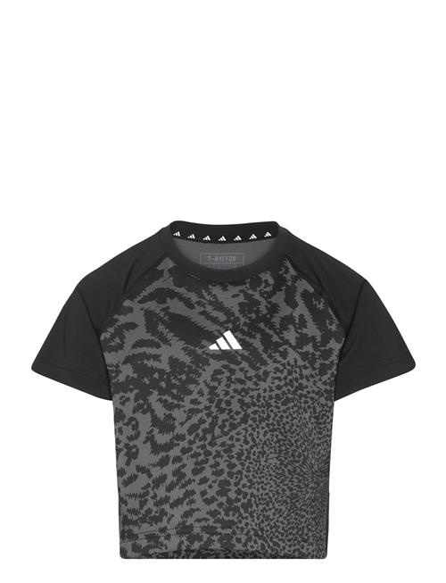 Se adidas Sportswear Jg Pri Tee Adidas Sportswear Black ved Booztlet