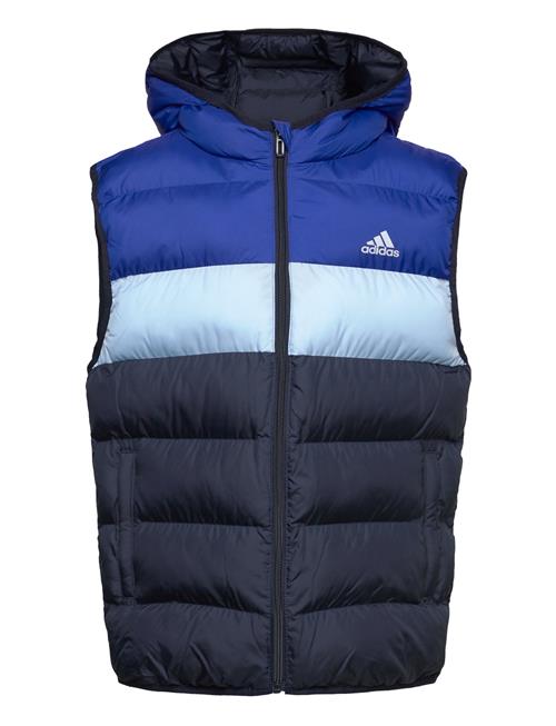 Se adidas Sportswear J Sd Vest Adidas Sportswear Blue ved Booztlet