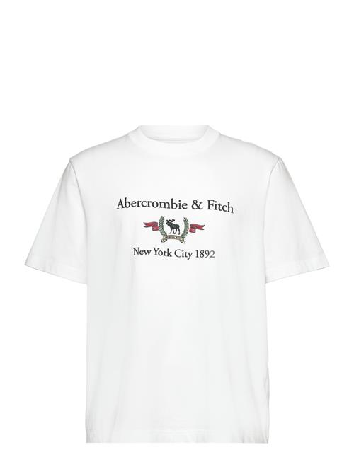 Se Abercrombie & Fitch Anf Mens Graphics Abercrombie & Fitch White ved Booztlet