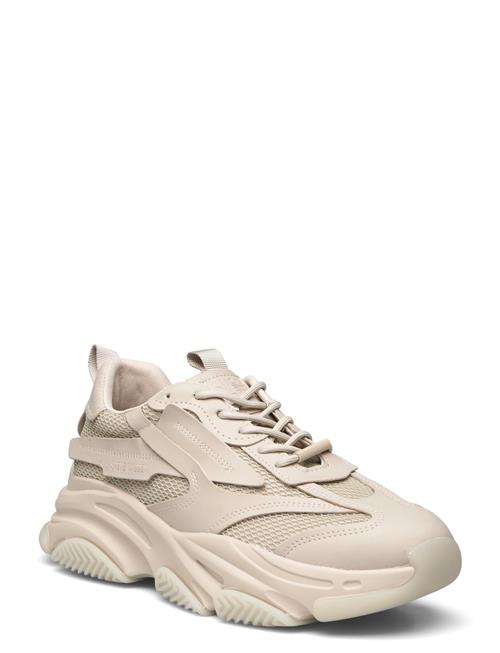 Se Steve Madden Possess Sneaker Steve Madden Beige ved Booztlet