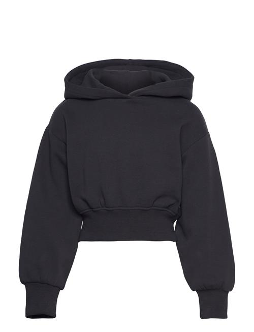 Se Tom Tailor Cropped Hoody Tom Tailor Black ved Booztlet