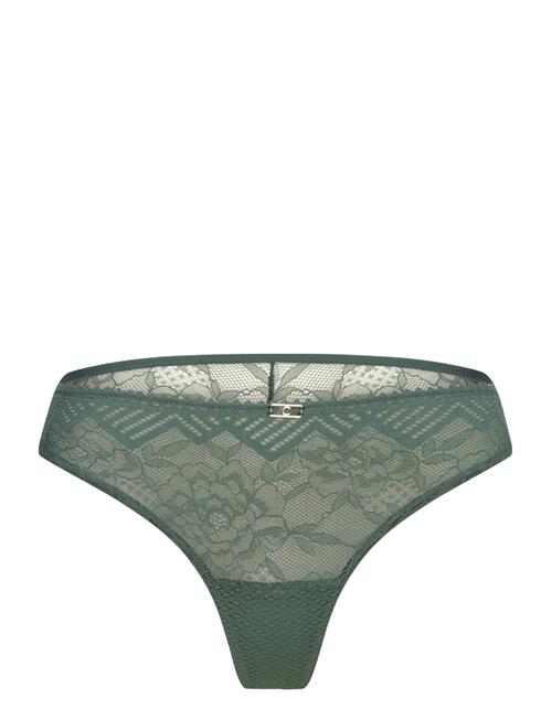 CHANTELLE Origins Co Bo. Tanga Std CHANTELLE Green