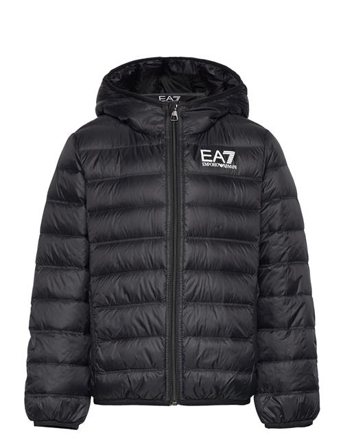 Down Jacket EA7 Black