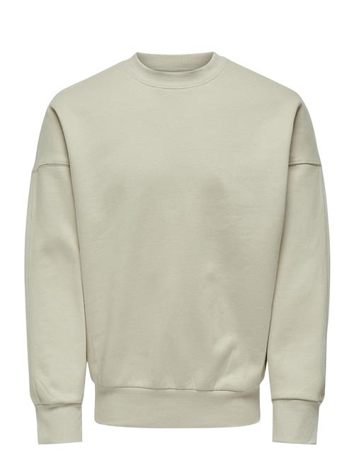 ONLY & SONS Onsdan Life Rlx Heavy Sweat Crew ONLY & SONS Cream