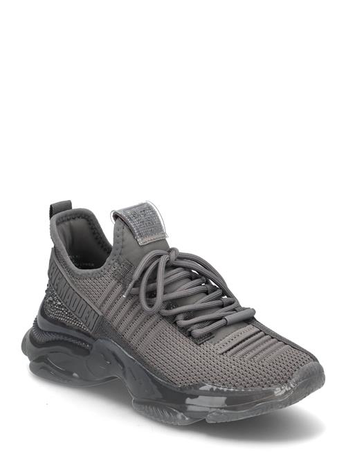 Maxilla-R-E Sneaker Steve Madden Grey