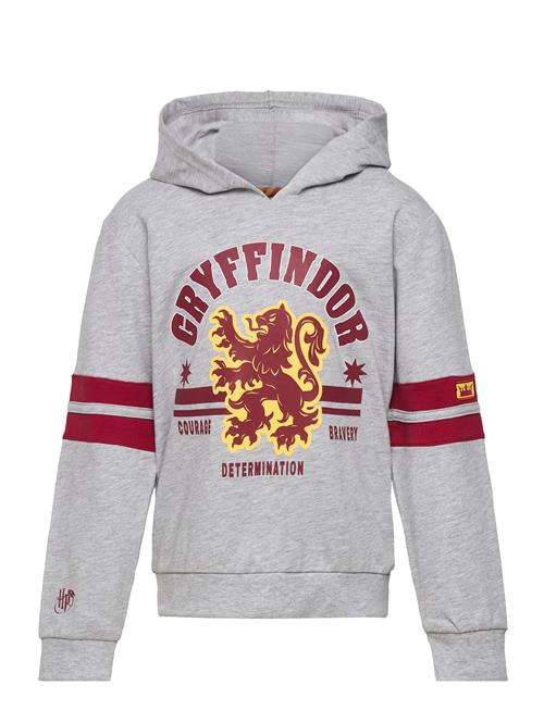 Harry Potter Sweats Harry Potter Grey