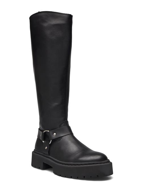 Glimmer Boots Steve Madden Black