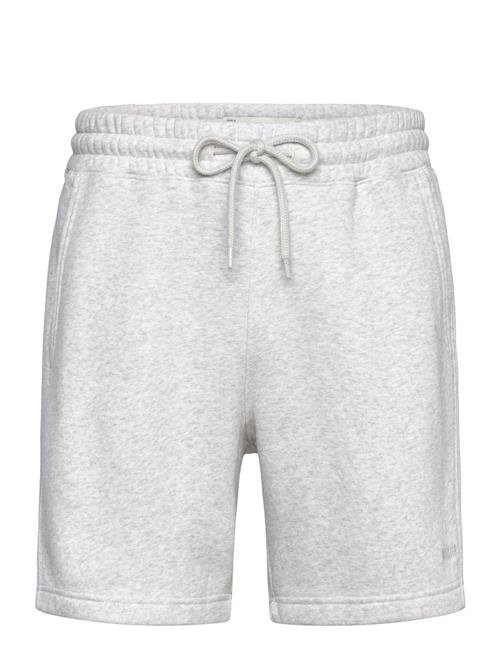 Hollister Hco. Guys Shorts Hollister Grey