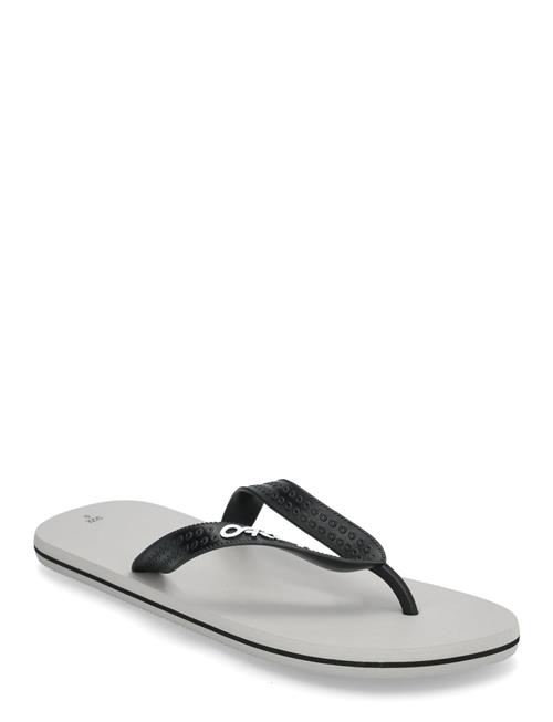 Golden Oak Flip Flop OAKLEY Grey