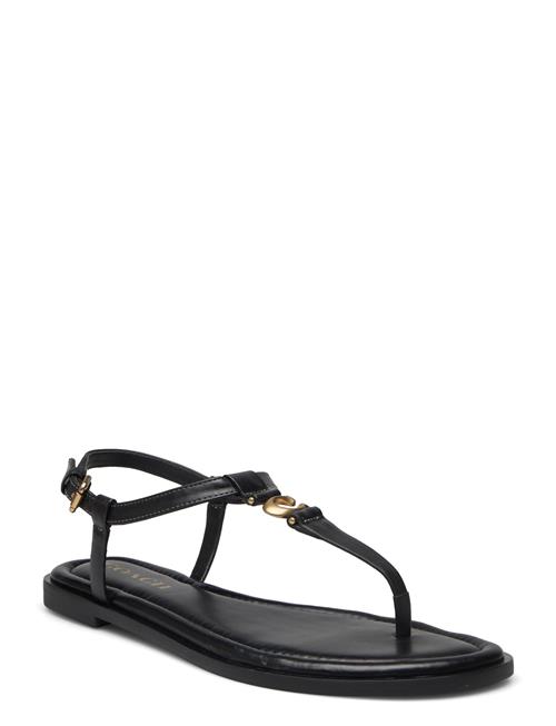 Coach Jessica Sandal Coach Black